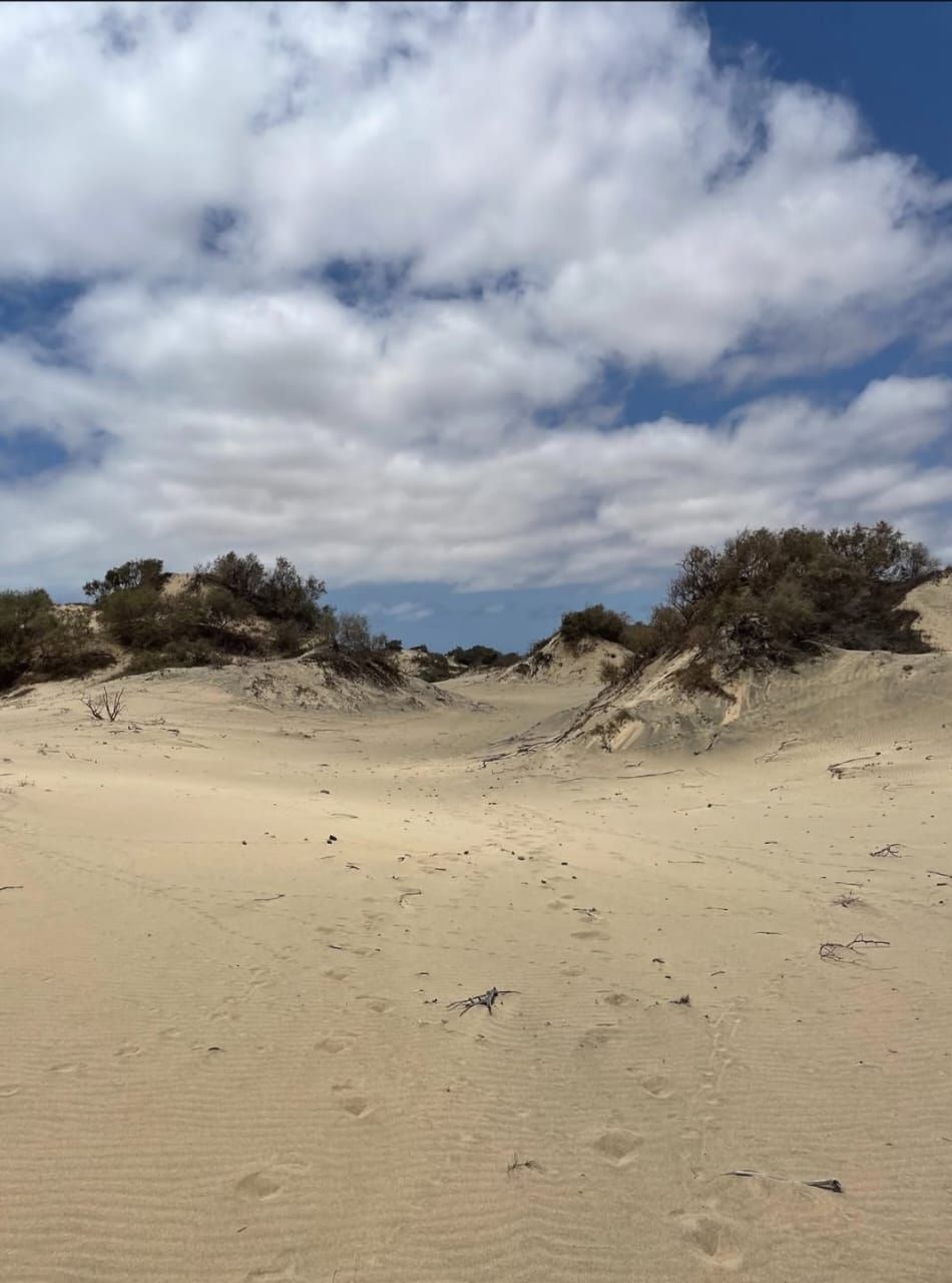 Dunas de Morrinho