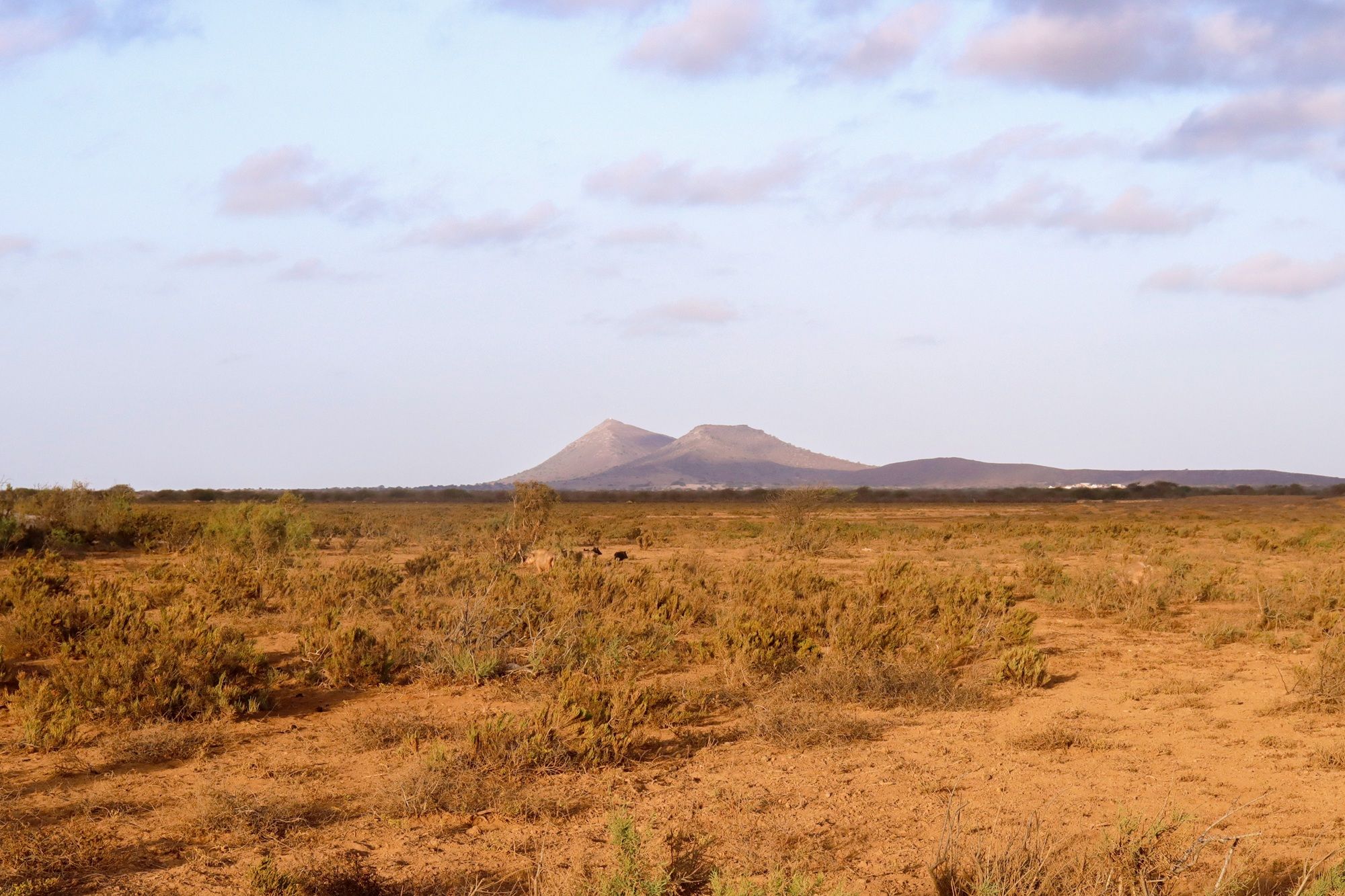 Perímetro Florestal